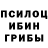 Галлюциногенные грибы Cubensis Vasyl Vivcharuk