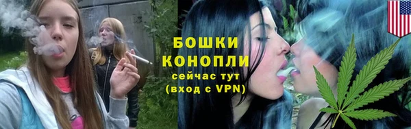 мдпв Осташков