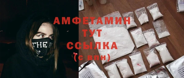 мдпв Осташков