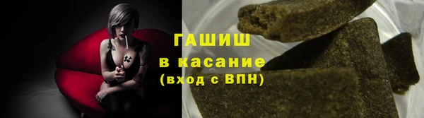 мдпв Осташков